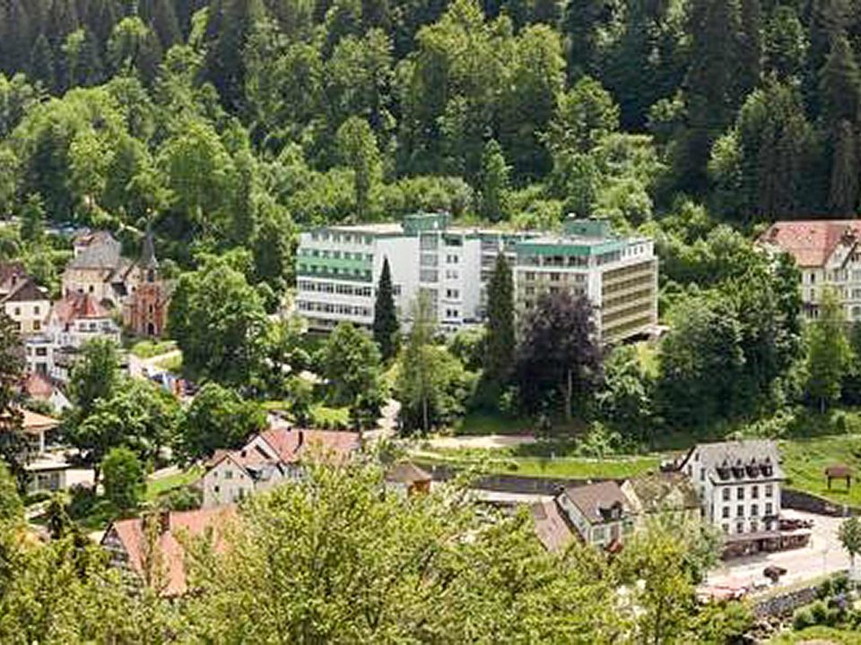 Blick auf das Klinikgebäude am Waldrand