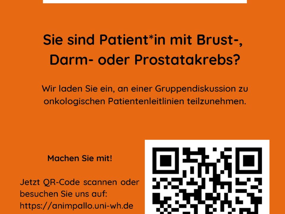 Flyer zum Forschungsprojekt AnImPaLLO